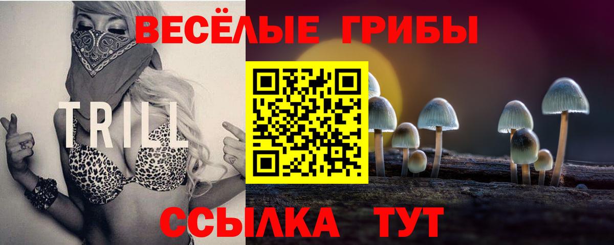 Псилоцибиновые грибы мухоморы Красноармейск