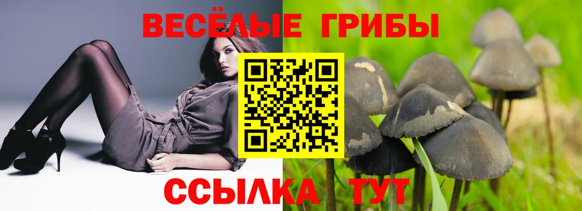 Красноармейск  Галлюциногенные грибы мицелий  Вход с VPN 